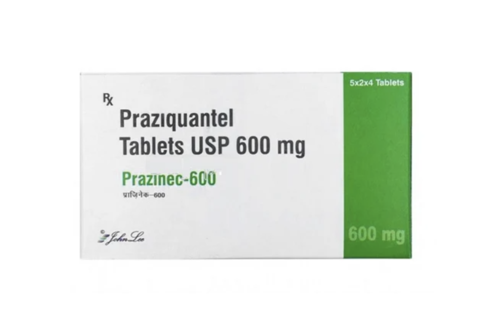 프라지콴텔 600mg Prazinec - 240정