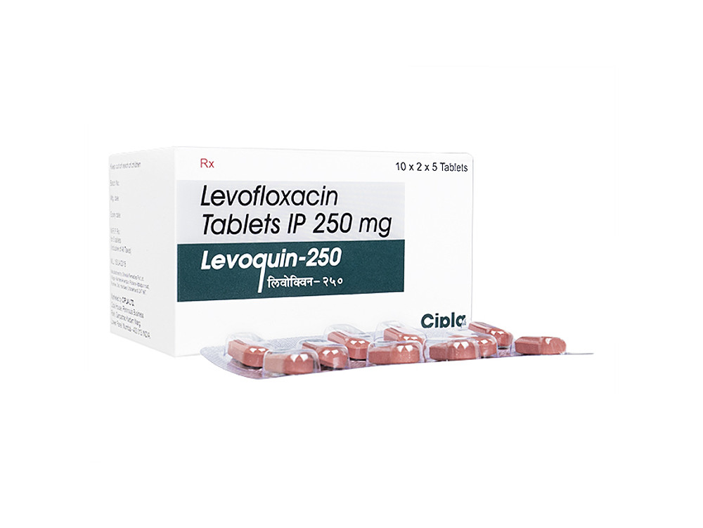 레보플렉사신정 레보플록사신정 레보퀸 - 500mg, 300정