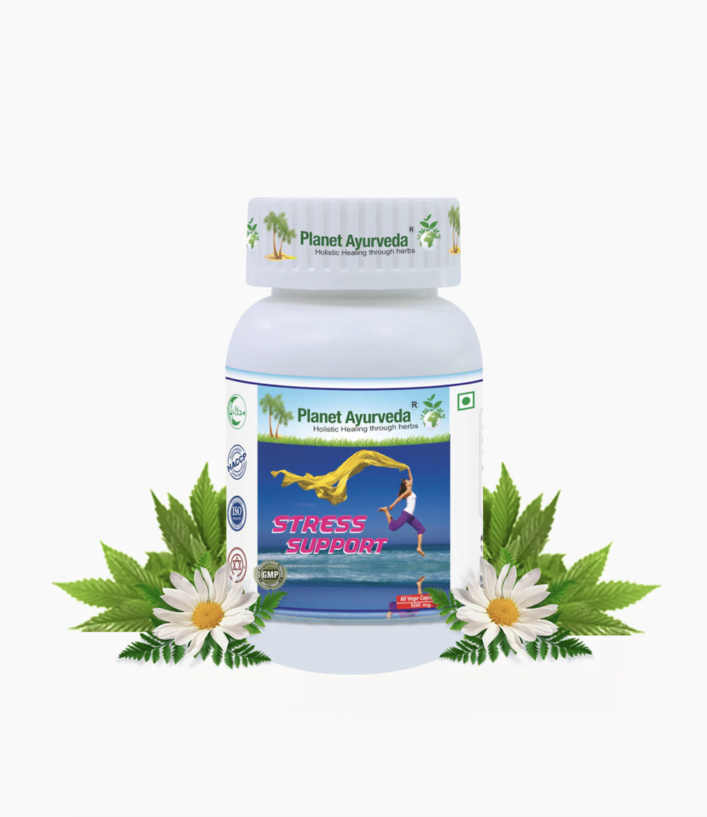 스트레스 완화의 비밀: STRESS SUPPORT로 평온한 삶 찾기