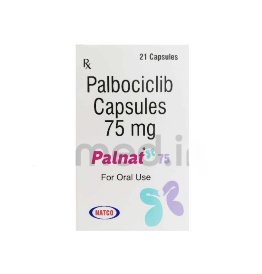 입랜스 팔보시클립: 스타일과 기능성을 동시에! 최적의 선택 가이드